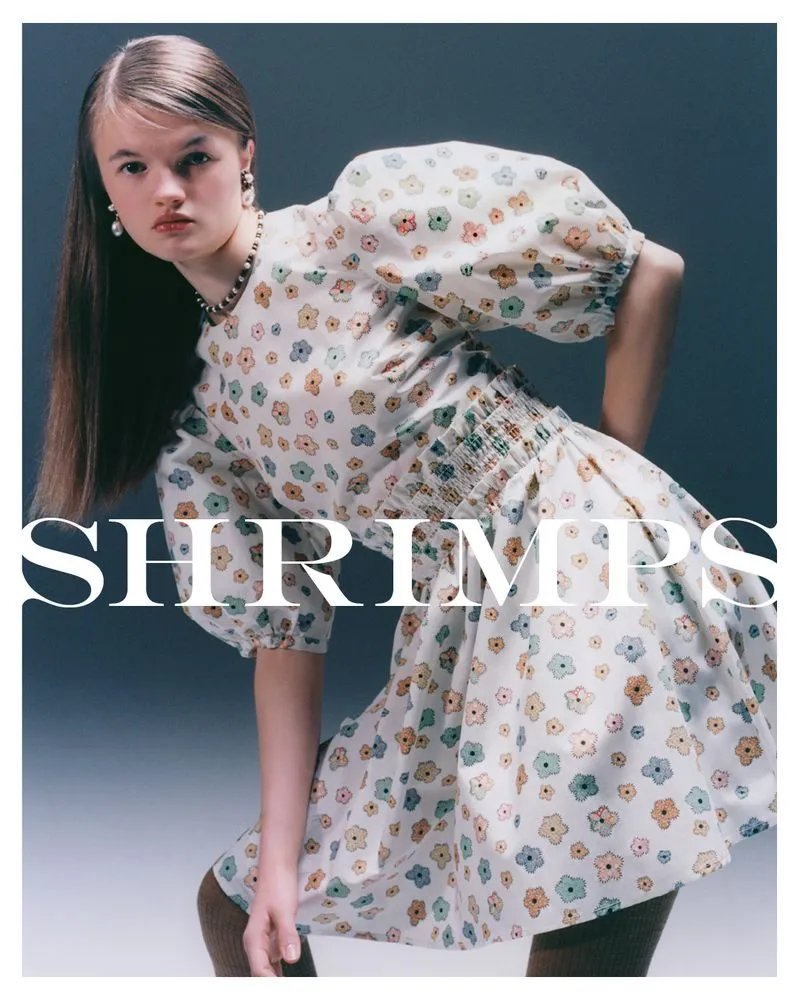 Shrimps